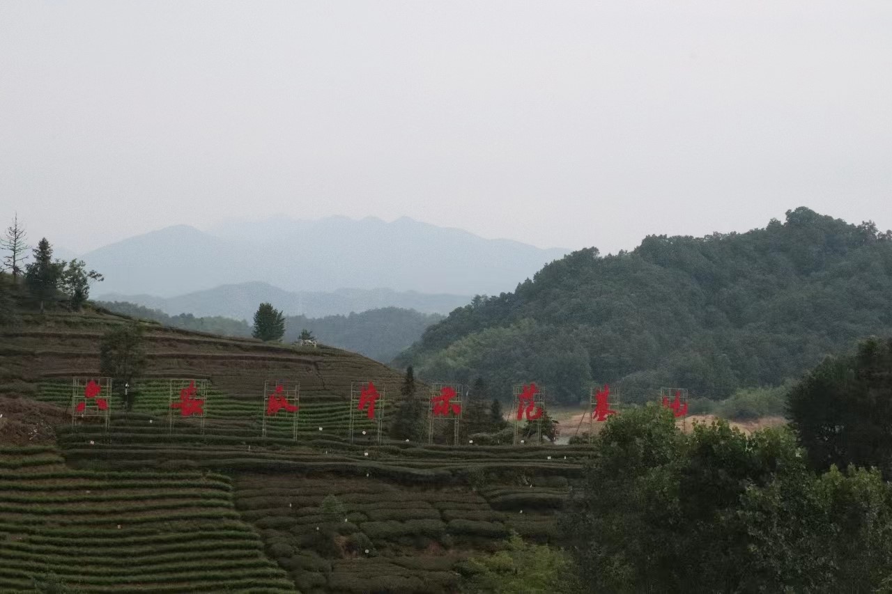 س푲Vl(xing)dƪ