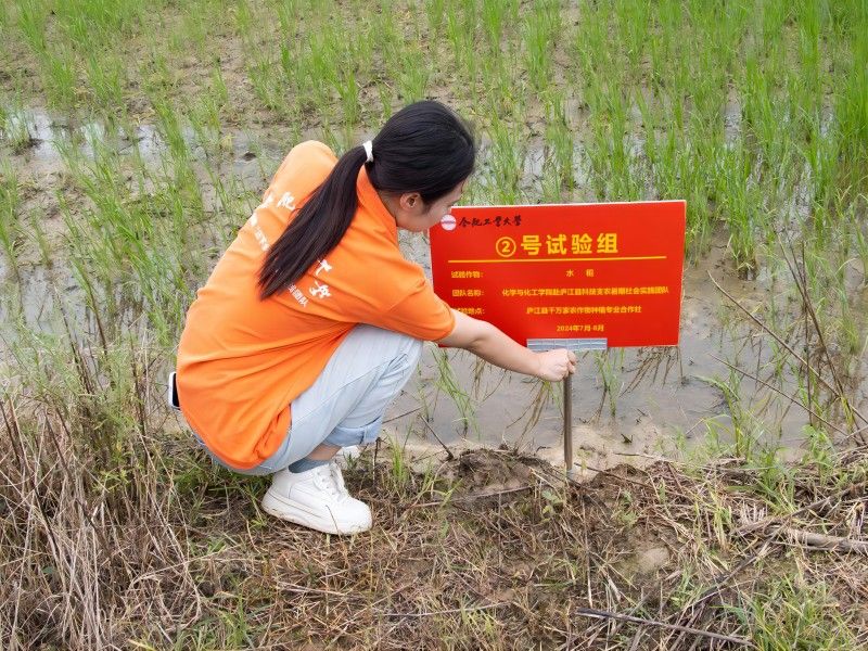 圖1 團隊成員正在進行試驗田劃分