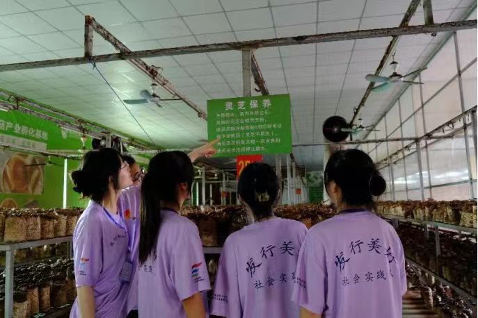 wߪq鏊֥