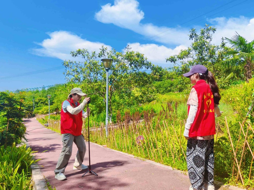 t(y)ˎýńɽl(xing)d¾G ֡ůń l(xing)(dng)