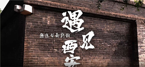 ϲW(xu)vʷ}`L(fng)(sh)`(du)_չ(hu)(sh)`