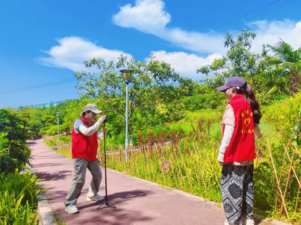 (DƬ)